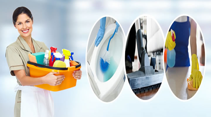 Fully Insured and DBS Checked