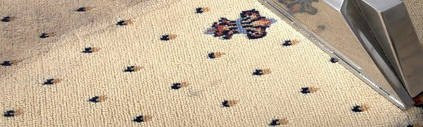 carpet cleaning wolverhampton